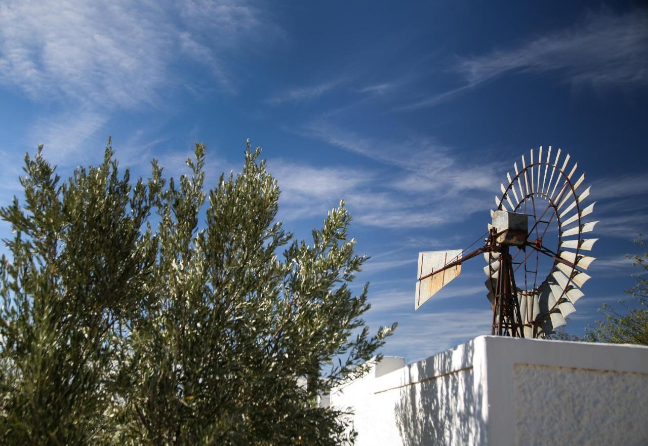 Dennehof Karoo Guesthouse Prince Albert Exterior foto